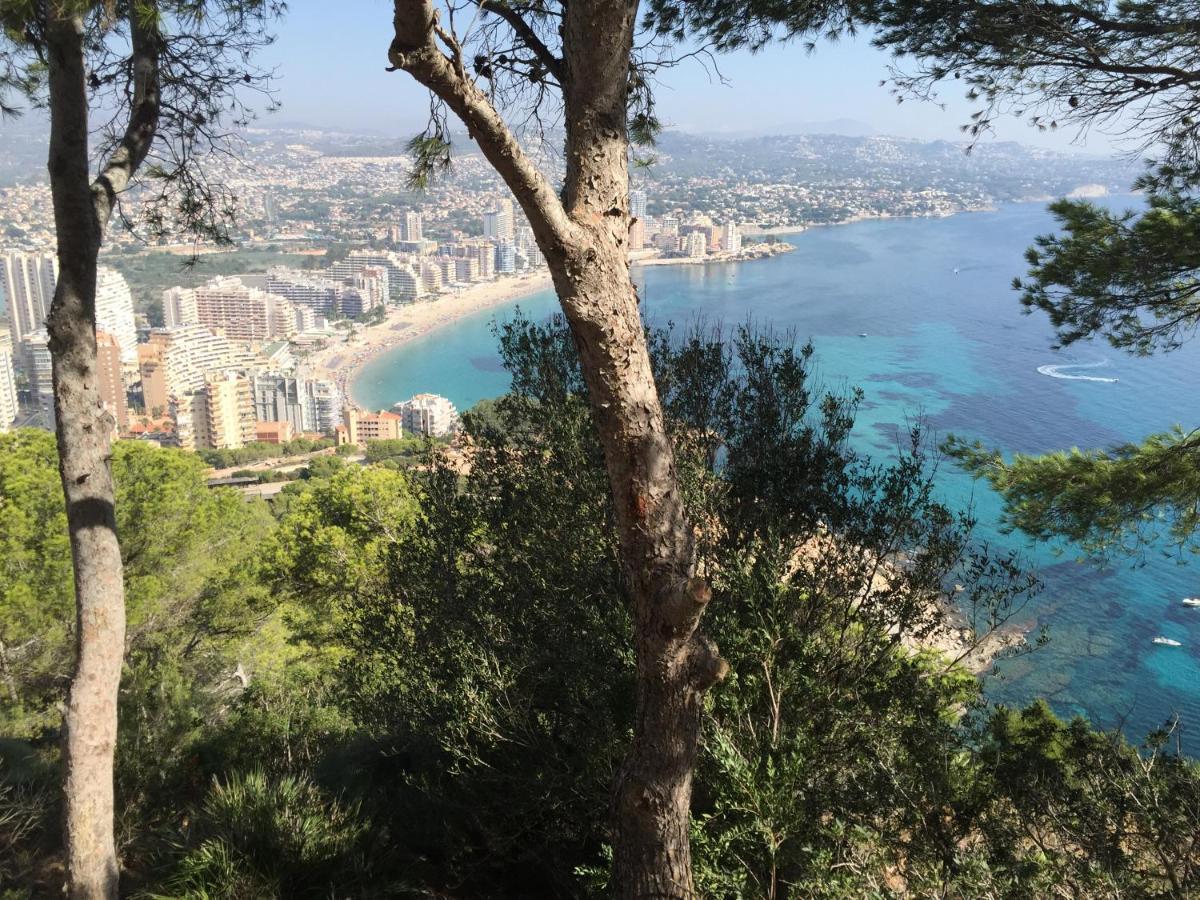 Mesana 102 / Penthouse Daire Calp Dış mekan fotoğraf
